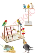 Kuş Oyuncağı Kuş Oyun Parkı ve T Tünek Muhabbet Kuşu Papağan Oyuncağı Kuş Aksesuarı thumbnail 5
