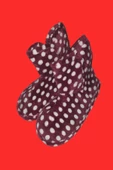 Kız Çocuk Panduf - 1