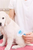 Kedi Köpek Tüy Toplayıcı Kendini Temizleyebilen Ergonomik Saplı Evcil Hayvan Tarağı Mavi - 11