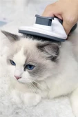 Kedi Köpek Tüy Toplayıcı Kendini Temizleyebilen Ergonomik Rahat Evcil Hayvan Tarağı Gri - 11