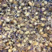 PEYGAMBER ÇİÇEĞİ 300 GR TAZE KATKISIZ MAHSÜL - 1