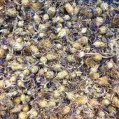 PEYGAMBER ÇİÇEĞİ 100 GR TAZE KATKISIZ MAHSÜL - 1
