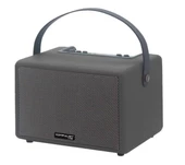 Kablosuz Bluetooth Taşınabilir Parti Karaoke Hoparlörü - Model F31 - 1