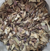 ENGİNAR KABUĞU 500 GR TAZE KATKISIZ MAHSÜL - 1