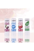 Gabrini Dudak Koruyucu Nemlendirici Lip Balm Care Aloe Vera SPF20 - 2