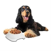 Silikon Kaydırmaz Taban Plastik Kedi ve Köpek Mama ve Su Kabı 2 L - 2