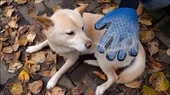 Tüy Toplayan Kedi Temizleme Eldiveni Tüy Toplama Eldiveni - 11