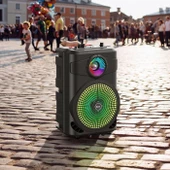HOCO BS46 Büyük Boy Mikrofonlu Taşınabilir Şarjlı Hoparlör Bluetooth Speaker - 3
