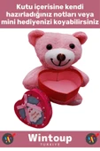 Özel Tasarım Kız Arkadaş Sevgiliye Hediyelik Sevgililer Günü Özel Gün KALP KUTULU Pembe PELUŞ AYICIK thumbnail 2