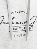 Jack&Jones Erkek Sweatshirt 12256838 - 4