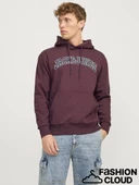Jack&Jones Erkek Sweatshirt 12256521 - 5