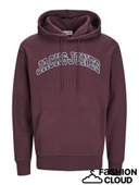 Jack&Jones Erkek Sweatshirt 12256521 - 6