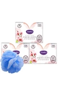 Duru Katı Sabun Hydro Pure Sakura Çiçeği 150 gr x 3 thumbnail 1