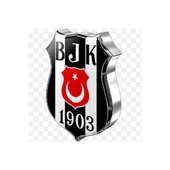 TAÇ BEŞİKTAŞ STRİPE LİSANSLI YATAK ÖRTÜSÜ SETİ - 3