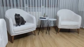 Mimoza Koltuk Takımı - 4
