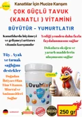 GENEL KULLANIM TAVUK VİTAMİNİ 250 gr (BÜYÜK AMBALAJ ) 12 AY KULLANILIIR - 1