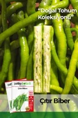 200 Adet Çıtır Biber Tohumu (Sivri, Tatlı) thumbnail 1