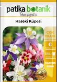 100 Adet Haseki Küpesi Çiçek Tohumu - 2