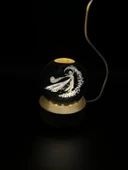 Dekoratif Cam Küre - 1