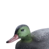 Tüylü Yeşil Baş Ördek - HD 020R thumbnail 3