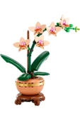 ® Botanicals Mini Orkide 10343 - Yetişkinler için Dekoratif Çiçek Yapım Seti (274 Parça) - 2