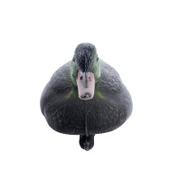 Tüylü Yeşil Baş Ördek - HD 020R thumbnail 5