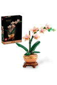 ® Botanicals Mini Orkide 10343 - Yetişkinler için Dekoratif Çiçek Yapım Seti (274 Parça) - 1