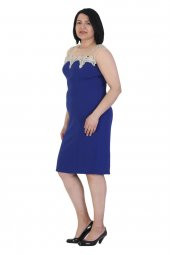 Fierte Kadın Büyük Beden Abiye Elbise Vs5967 Yuvarlak Yaka Düşük Kol Dantel İşleme Krep Diz Altı Saks Lacivert Mor Siyah - 3