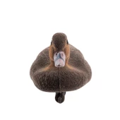 DD.21 Kılkuyruk Ördek Mühresi Erkek+Dişi thumbnail 5