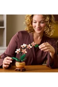 ® Botanicals Mini Orkide 10343 - Yetişkinler için Dekoratif Çiçek Yapım Seti (274 Parça) - 8