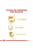 Poodle Yetişkin Köpek Maması 3kg - 4