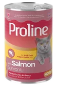 Karışık Kedi Konserve Maması 400gr- 20 Adet - 3
