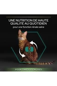 Pro Plan Sterilised Kısırlaştırılmış Somonlu Kedi Maması 10 KG - 1