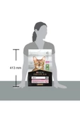 Delicate Kuzu Hassas Sindirim Kedi Maması 10 kg - 2