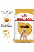 Poodle Yetişkin Köpek Maması 3kg - 1
