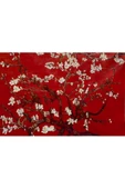 Harikabirev HARİKABİREV|KIRMIZI RENK ÇİÇEK AÇMIŞ KİRAZ AĞACI |ÇERÇEVELİ TEMPERLİ CAM TABLO TEKLİ YATAY thumbnail 2