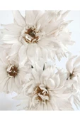 Harikabirev HARİKABİREV|BEYAZ ÇİÇEKLER KOMBİNİ 01 |ÇERÇEVELİ CAM TABLO  3LÜ DİKEY thumbnail 2