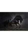 Harikabirev HARİKABİREV|SİYAH AT TABLOSU|ÇERÇEVELİ CAM TABLO TEKLİ YATAY thumbnail 2