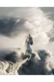 Harikabirev HARİKABİREV|ŞIK AT TABLOSU 23 |ÇERÇEVESİZ KANVAS TABLO thumbnail 2