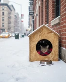 Reyo Kedi Evi Dış Ortam Uygun Ahşap Kedi Evi OSB 39x32x30 cm - CAT25 thumbnail 2