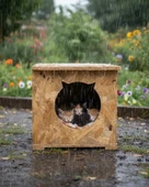 Reyo Kedi Evi Dış Ortam Uygun Ahşap Kedi Evi OSB 45x35x34 cm - CAT12 thumbnail 1