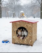Reyo Kedi Evi Dış Ortam Uygun Ahşap Kedi Evi OSB 39x37x34 cm - CAT08 thumbnail 2