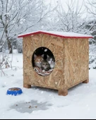 Reyo Kedi Evi Dış Ortam Uygun Ahşap Kedi Evi OSB 39x37x34 cm - CAT08 thumbnail 1