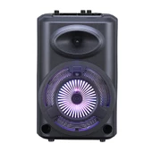 Zore GD-903 Dijital LED Göstergeli FM Radyolu Mikrofonlu RGB TWS 8 inç Stereo Bass Kablosuz Karaoke Hoparlör thumbnail 2
