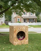 Reyo Kedi Evi Dış Ortam Uygun Ahşap Kedi Evi OSB 43x41x29 cm - CAT03 thumbnail 1