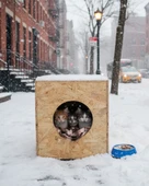 Reyo Kedi Evi Dış Ortam Uygun Ahşap Kedi Evi OSB 40x30x30 cm - CAT05 thumbnail 1