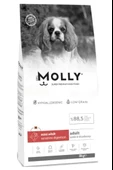 Molly Mini Adult Kuzu Etli Yaban Mersinli Yetişkin Köpek Maması 8 Kg - 1