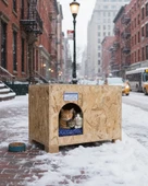 Reyo Kedi Evi Dış Ortam Uygun Ahşap Kedi Evi OSB Minderli 61x41x36 cm - CAT49M thumbnail 1