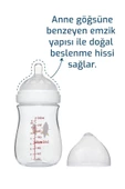 Bebedor Premium Seri Geniş Ağız Antikolik Biberon Tritan 240 ml 95302 - 2