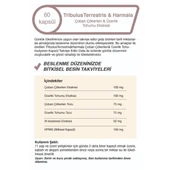 Çoban Çökerten & Üzerlik Tohumu Ekstresi 500 Mg 60 Kapsül - 4